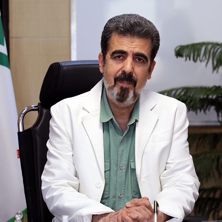 محمد مهدی عسگری